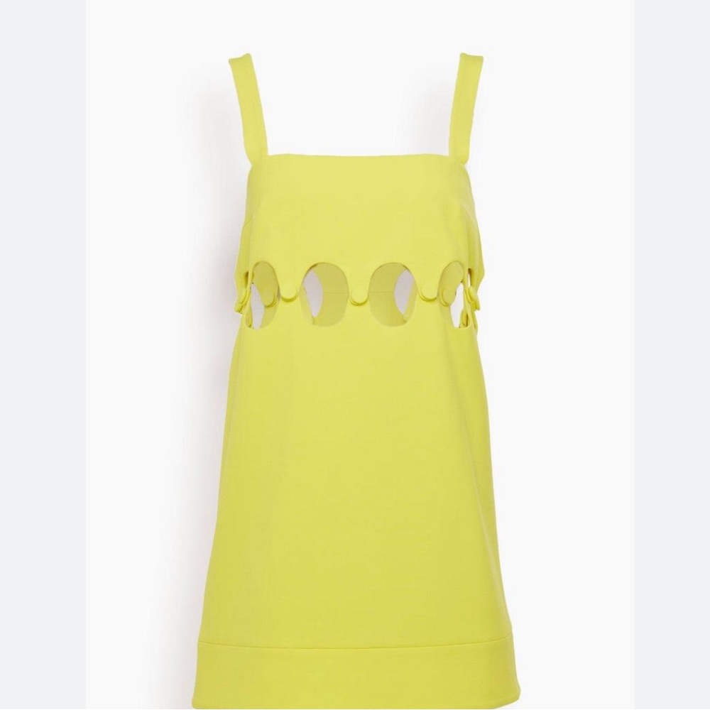 ISO Alexis Baring dress